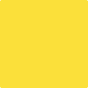 336 Bold Yellow