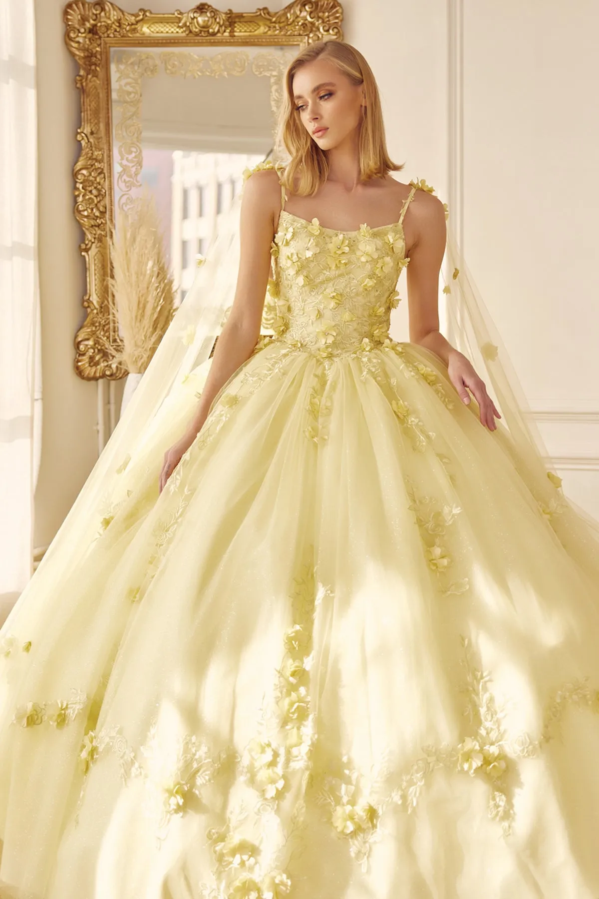 3D Floral Sleeveless Cape Ball Gown by Juliet 1436