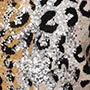 Animal Print Sequin Detail Jumper