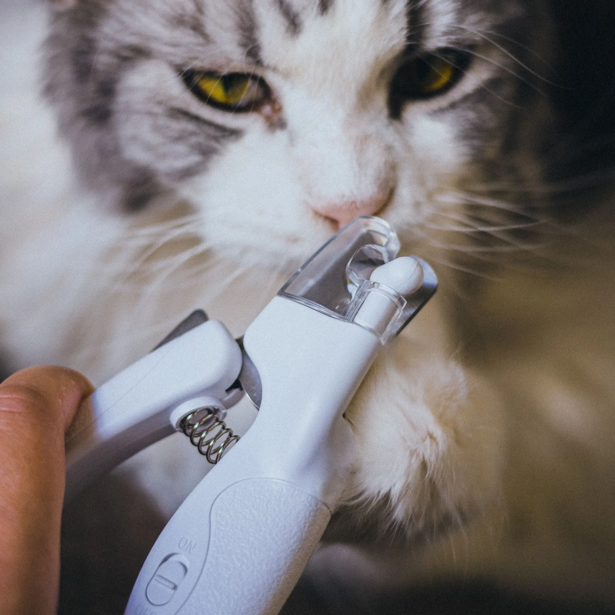 Cat Owner's Essential Tools Lazy Box