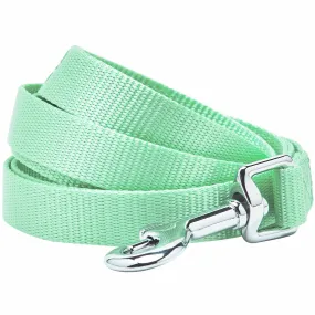 Classic Solid Color Dog Leash, Green