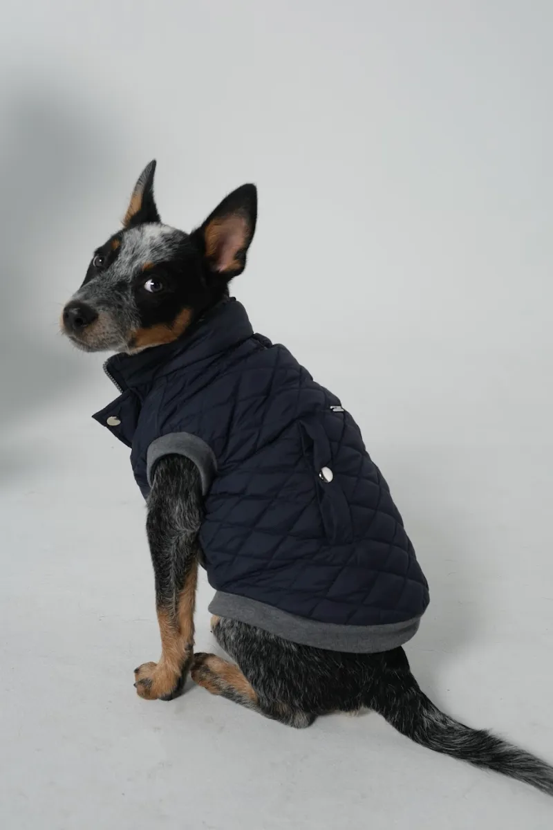 Dog Doble face Vest Navy/Grey