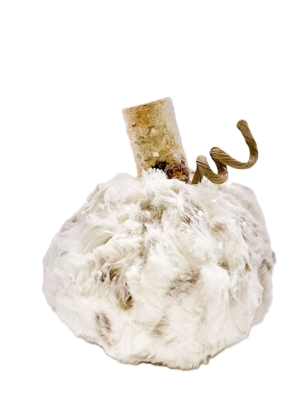 Fur Pumpkin - Spotted, Iced, Small