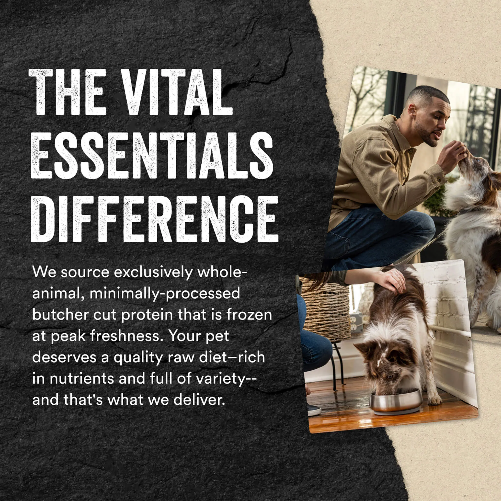 Vital Essentials Freeze-Dried Raw Protein Mix-In Ground Topper for Dogs